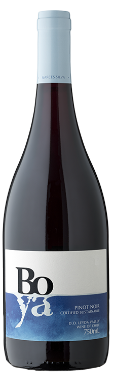 Pinot Noir 2019