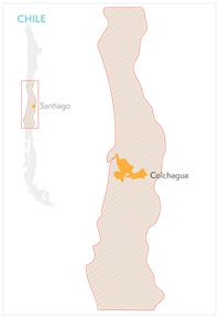 S38 Cabernet Sauvignon 2020 Regional Map