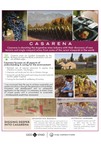 Casarena Sustainability