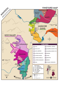 Cabernet Sauvignon 2022 Regional Map