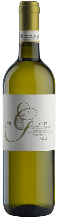 Gavi 2022