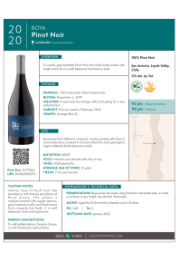 Pinot Noir 2020 Product Sheet