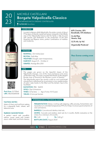 Valpolicella Classico 'Borgata' 2023 Product Sheet
