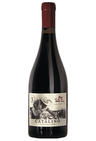 Pais 2023 Bottle Shot