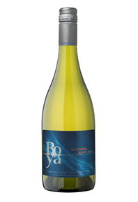 Sauvignon Blanc 2025 Bottle Shot
